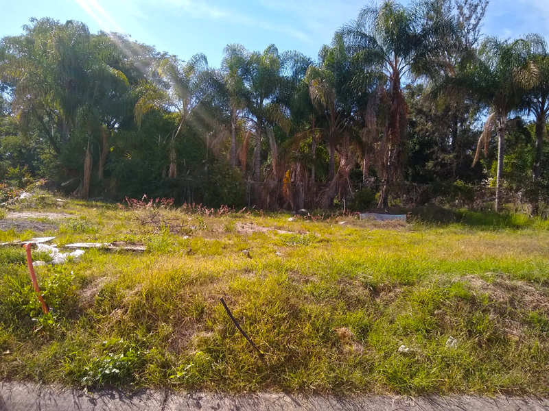 Lot For Sale in San Antonio