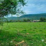 Lot for Sale in Ixtlahuacan