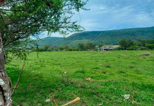 Lot for Sale in Ixtlahuacan