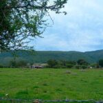 Lot for Sale in Ixtlahuacan