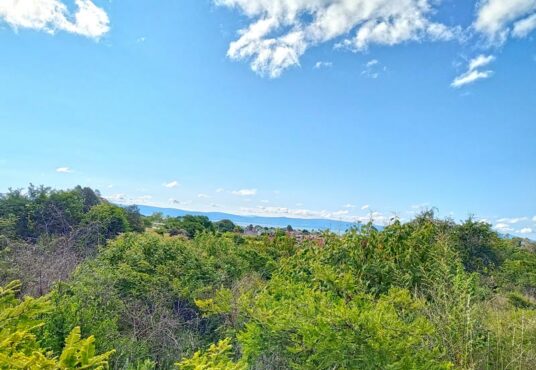 Lot For Sale in Santa Cruz